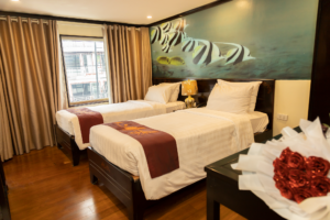 Senior Suite 8 Senior Suite Hai long dragon